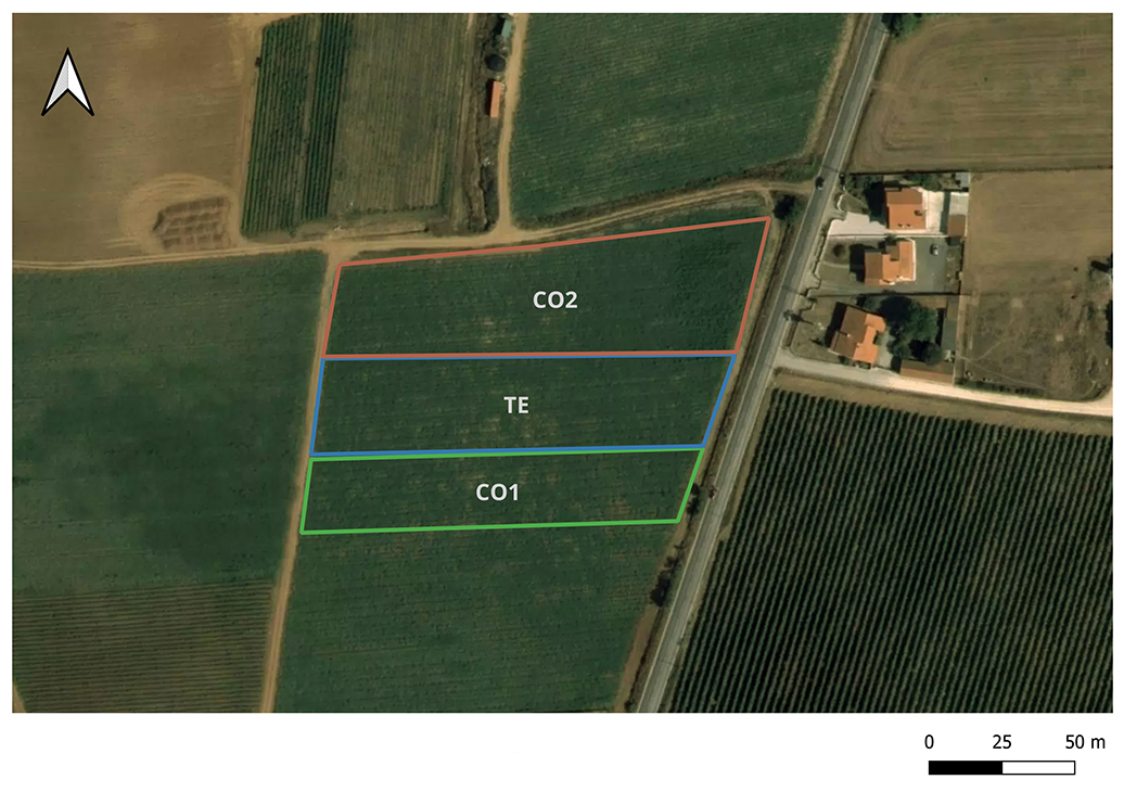 Campo piloto de Torres Vedras