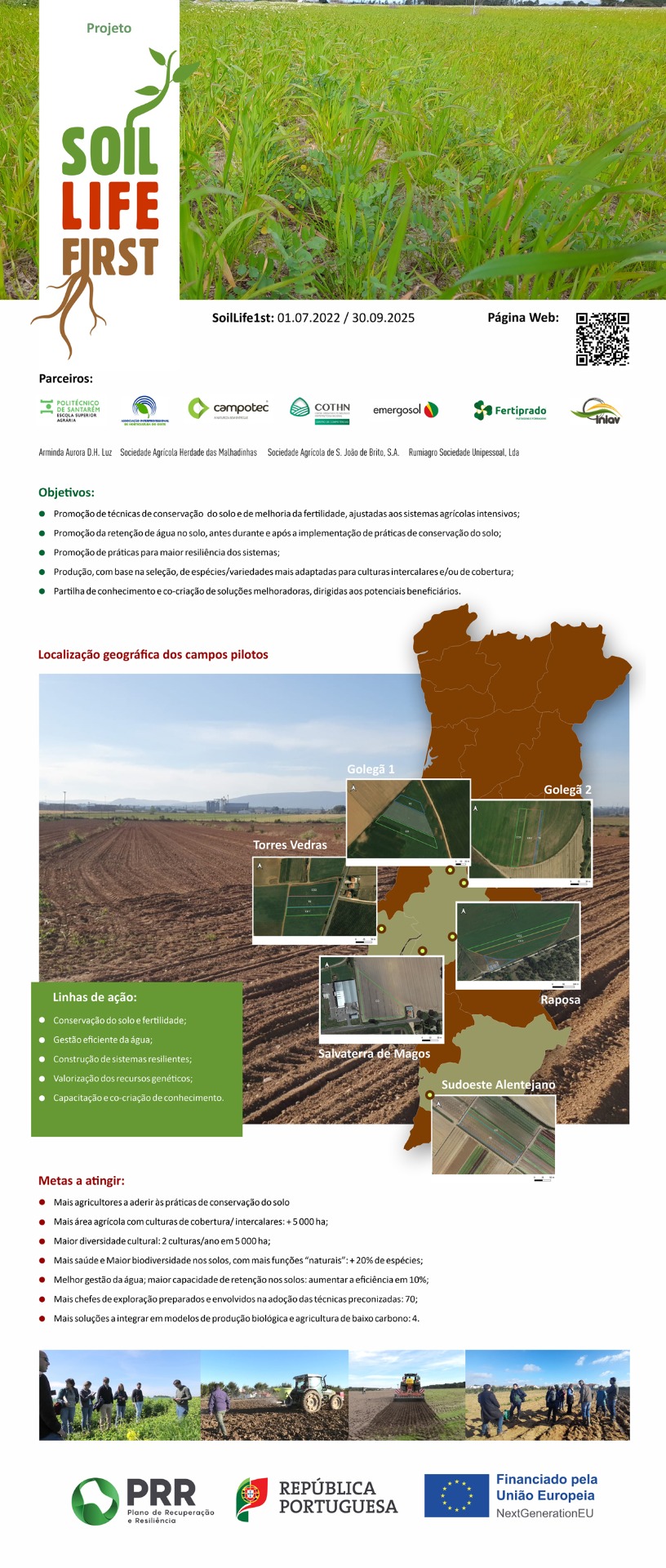 Rollup de apresentação do projeto