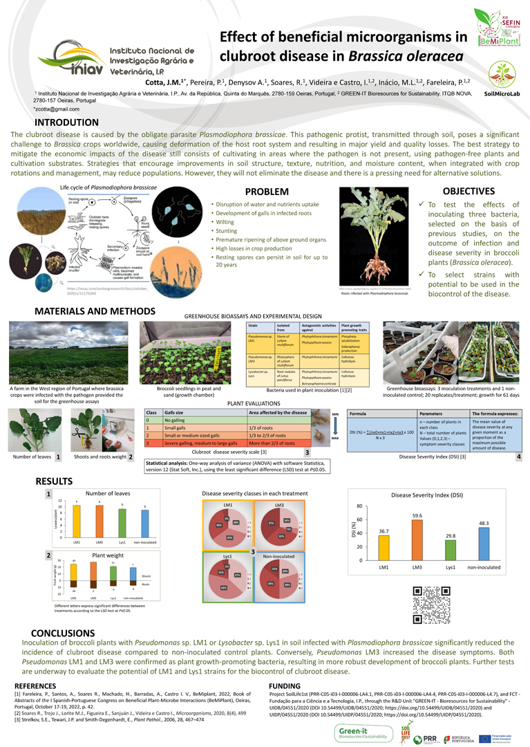 Póster do projeto SoilLife1st apresentado no Workshop MISSÃO SOLO: Projetos, Sinergias e Impactos que se realizou no Instituto Politécnico de Santarém, Escola Superior Agrária em outubro de 2024.
