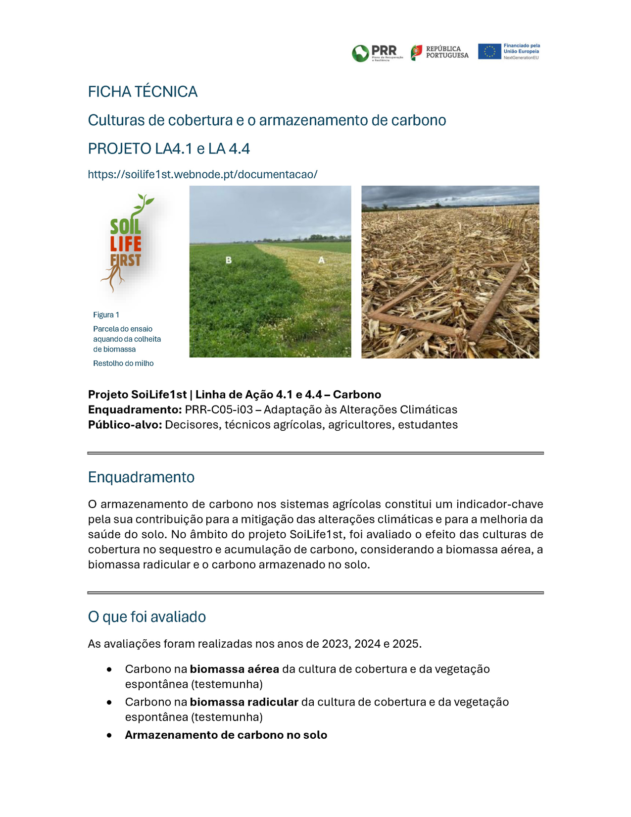 Culturas de cobertura e o armazenamento de carbono