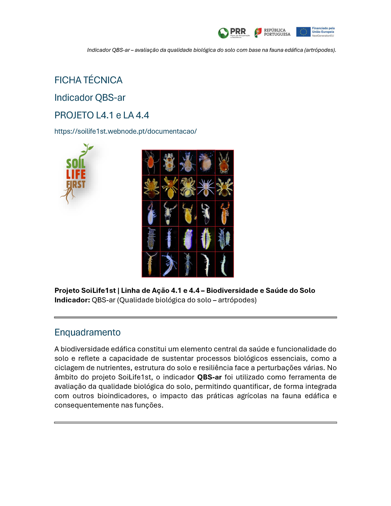 Indicador QBS-ar