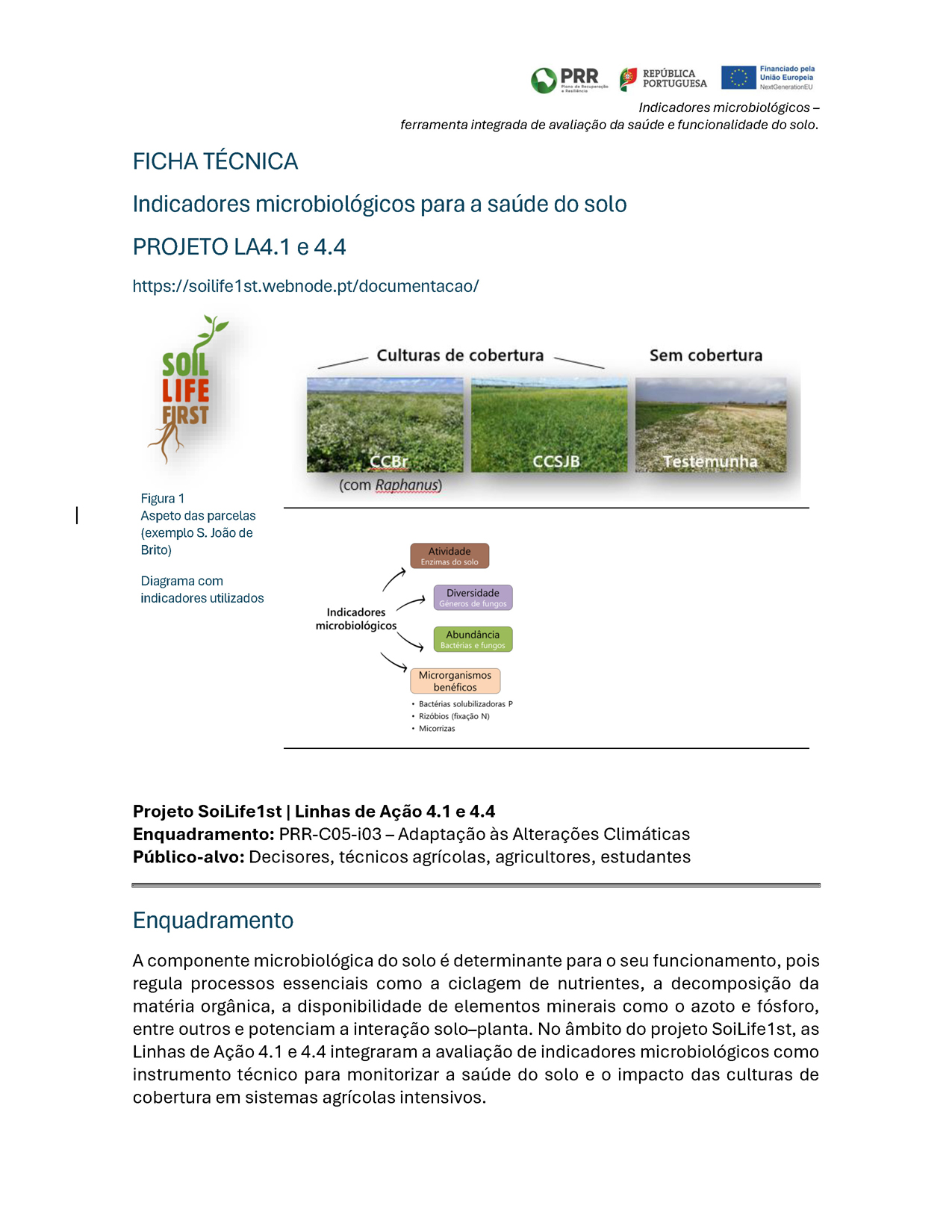 Indicadores microbiológicos para a saúde do solo