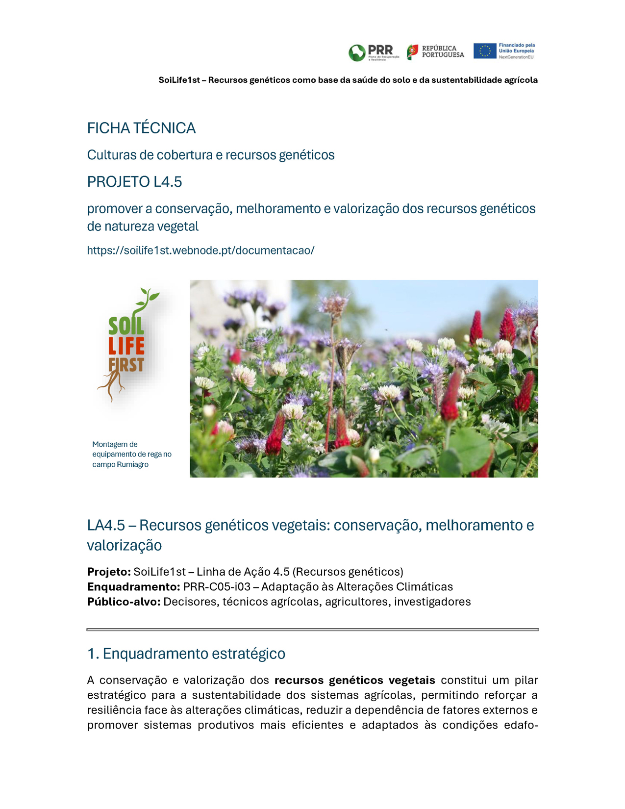 Culturas de cobertura e recursos genéticos