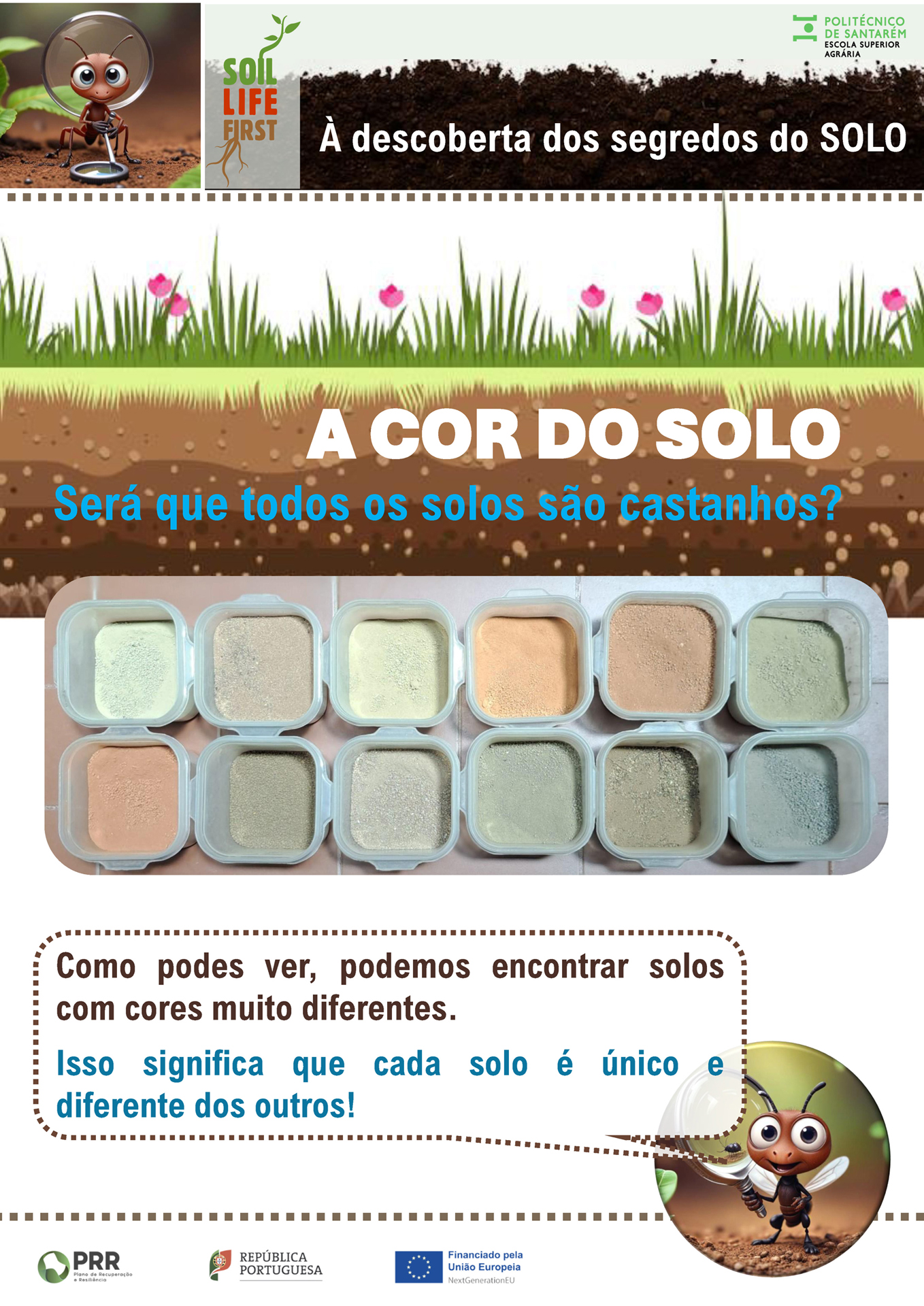 Infografia realizada para publico juvenil, apresentada na FNA25, em junho de 2025, no CNEMA, Santarém